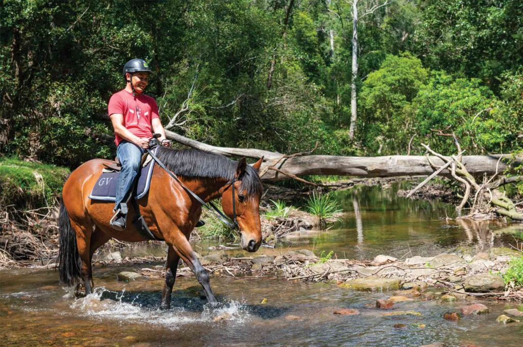 sydney horse riding