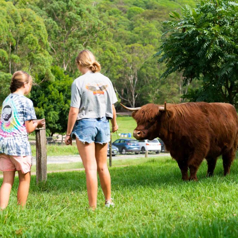 glenworth-valley-petting-farm