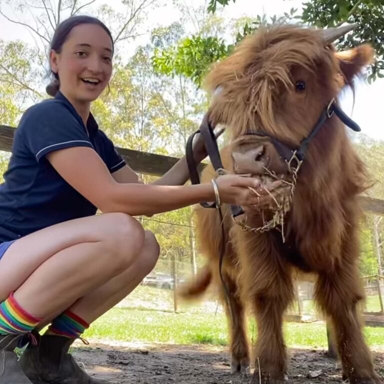 glenworth-valley-petting-farm-dougie
