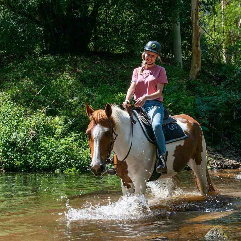 Horse Riding- Preferred