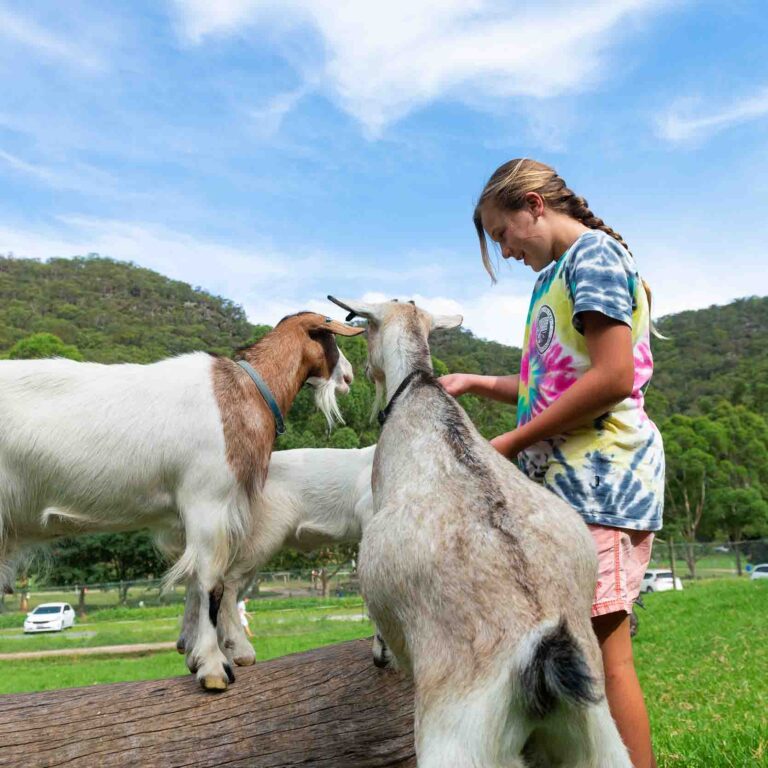 glenworth-valley-petting-farm-4