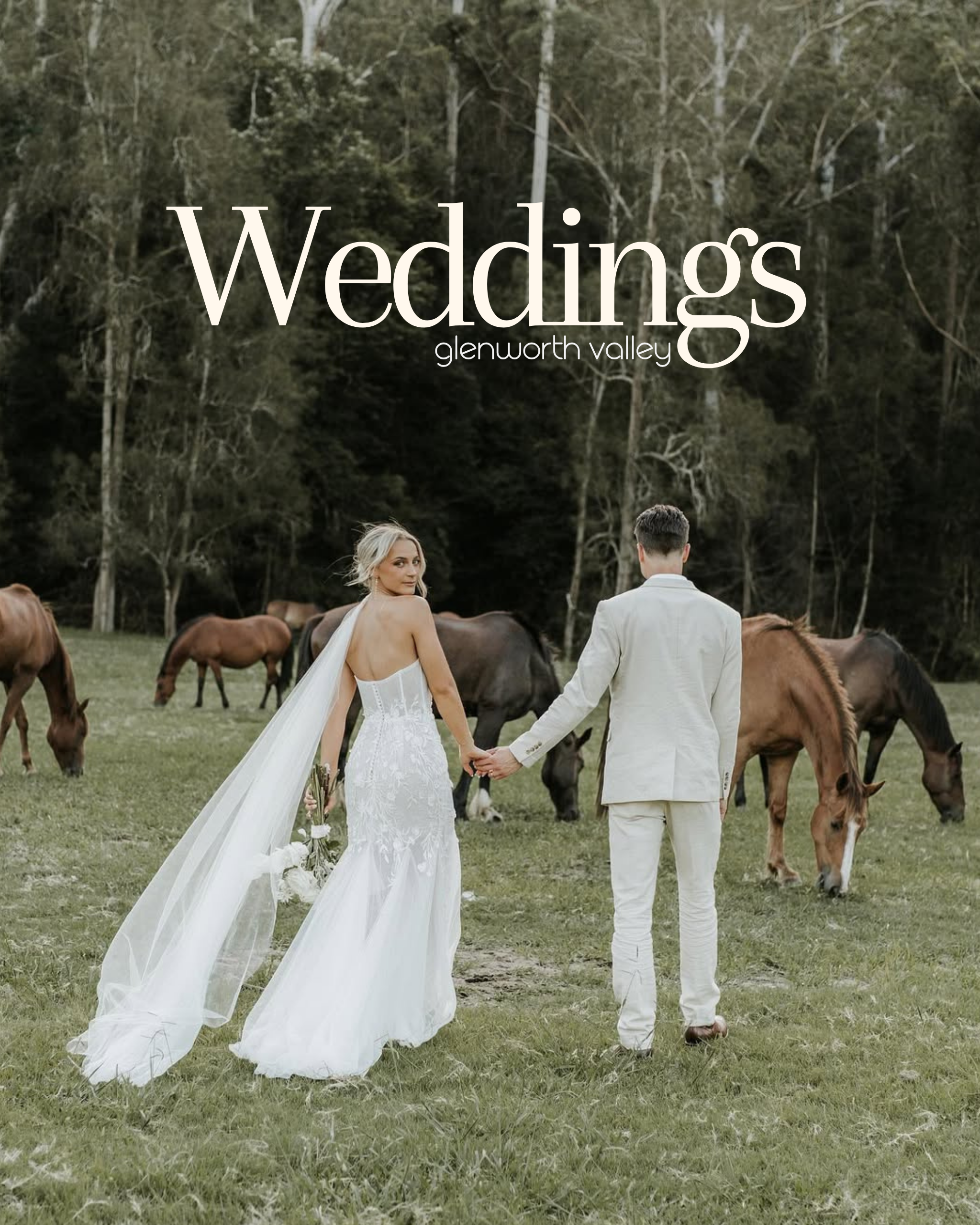 Glenworth Valley Weddings Tasting Night