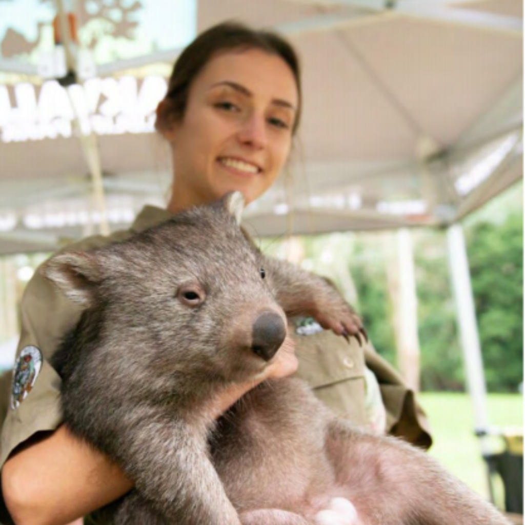 Animal encounters Glenworth valley corporate events
