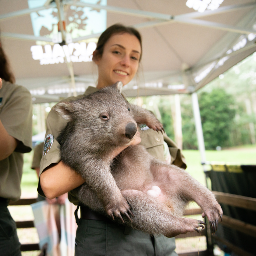 Conferences and events at Glenworth Valley wilderness adventures animal encounters