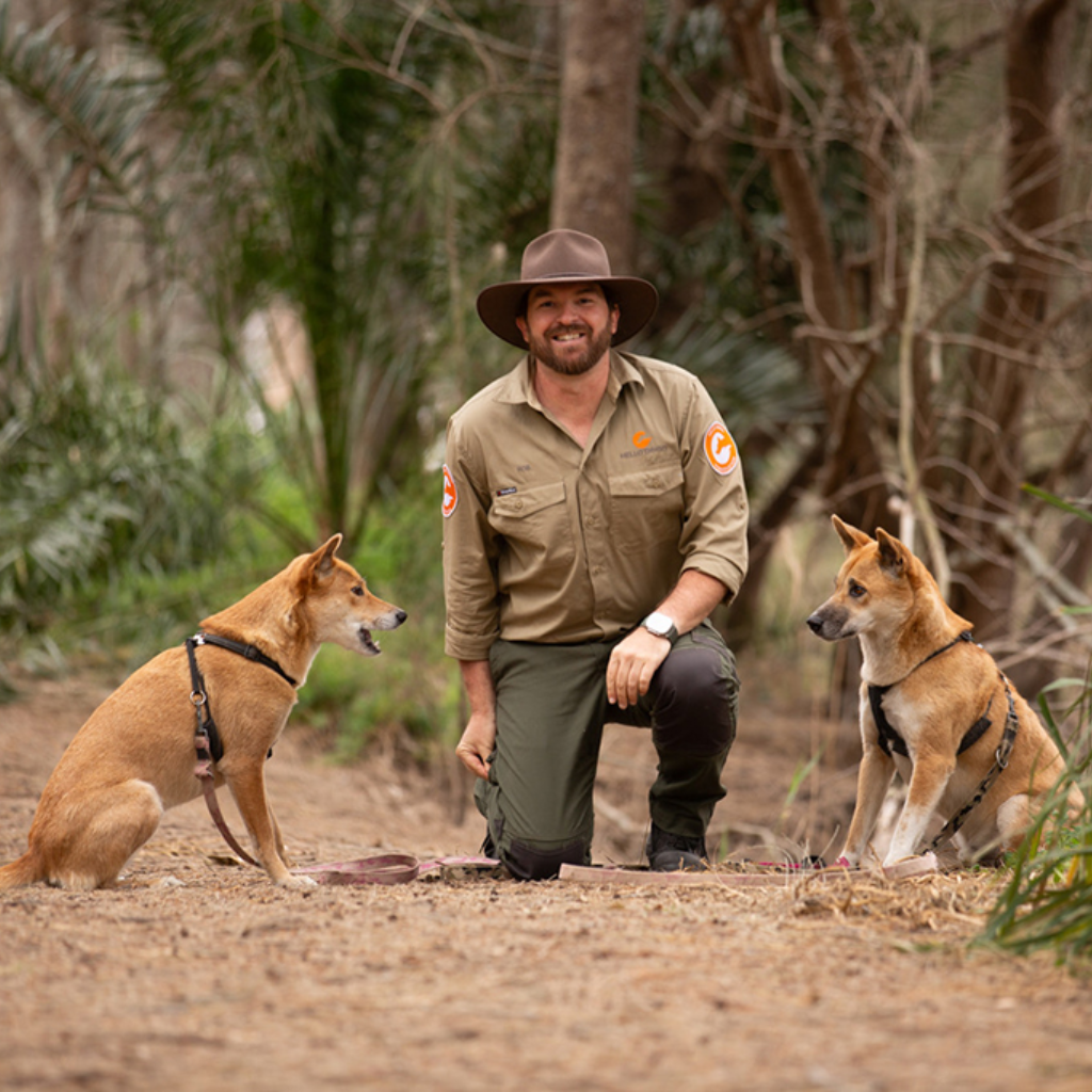 Conferences and events at Glenworth Valley wilderness adventures animal encounters