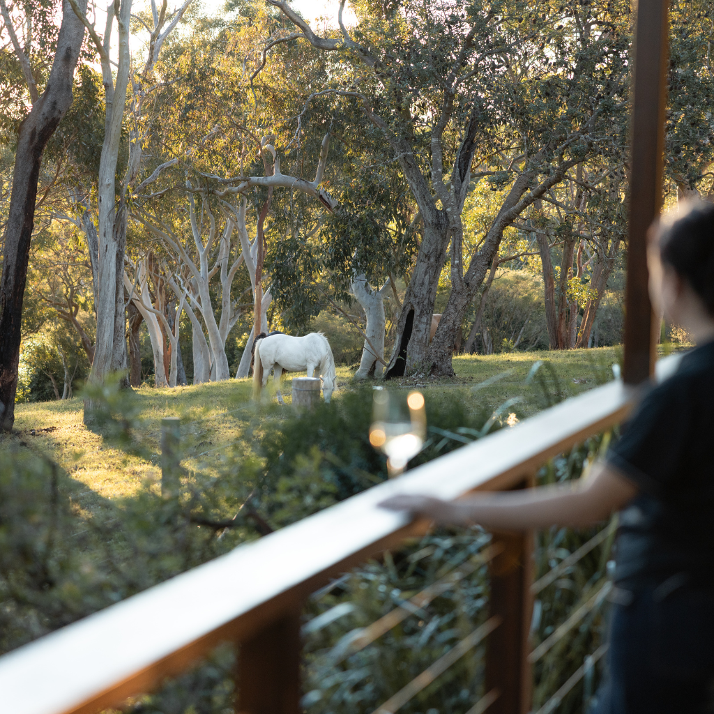deluxe hot tub eco villa (1)
