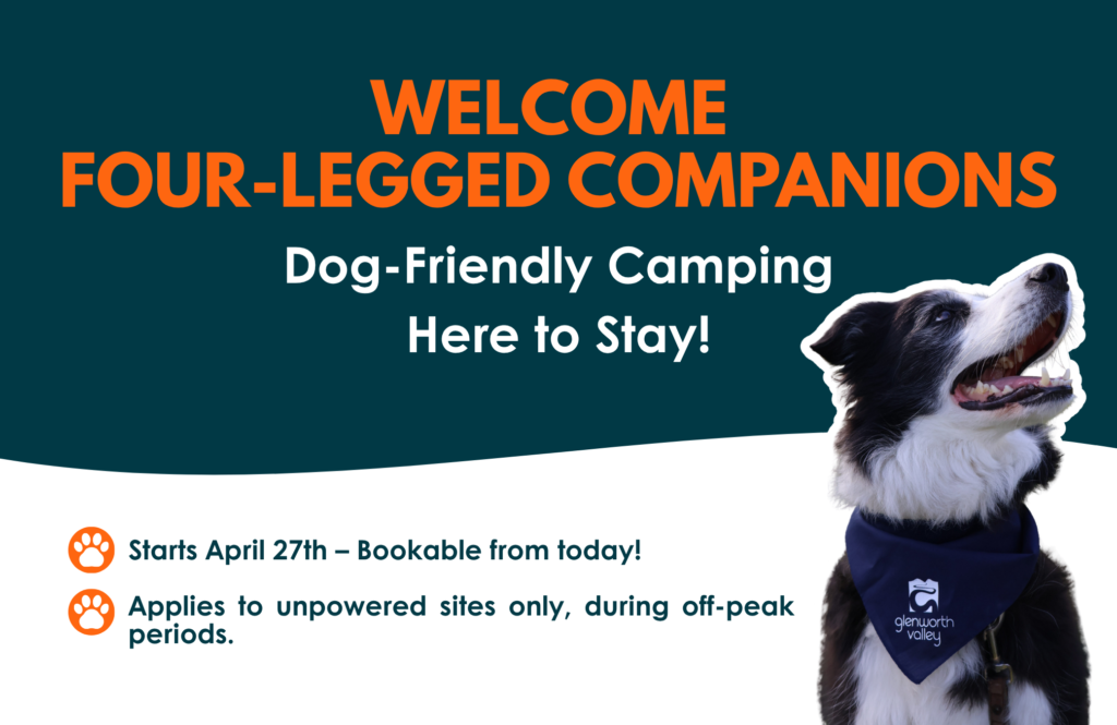 Dog friendly camping glenworth valley campground