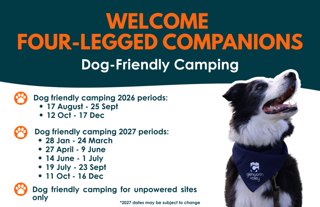 Dog friendly camping periods glenworth valley