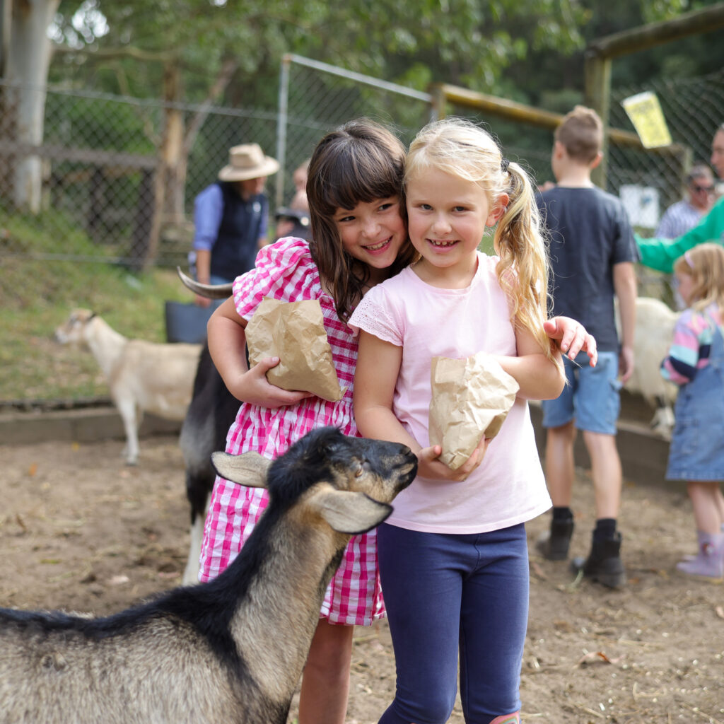 Glenworth Valley petting farm. Glenworth Valley Wilderness Adventures animal farm experience. Highland cow Glenworth Valley