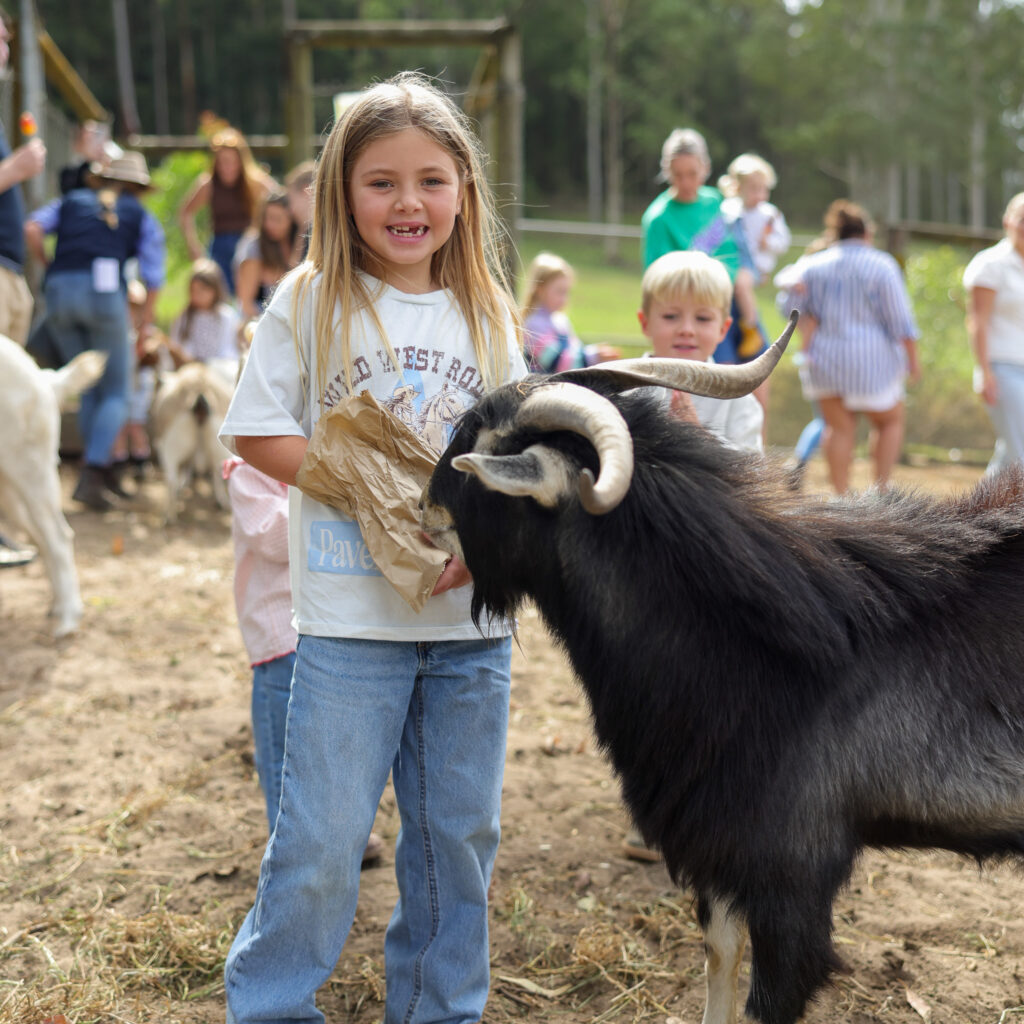 Glenworth Valley petting farm. Glenworth Valley Wilderness Adventures animal farm experience. Highland cow Glenworth Valley