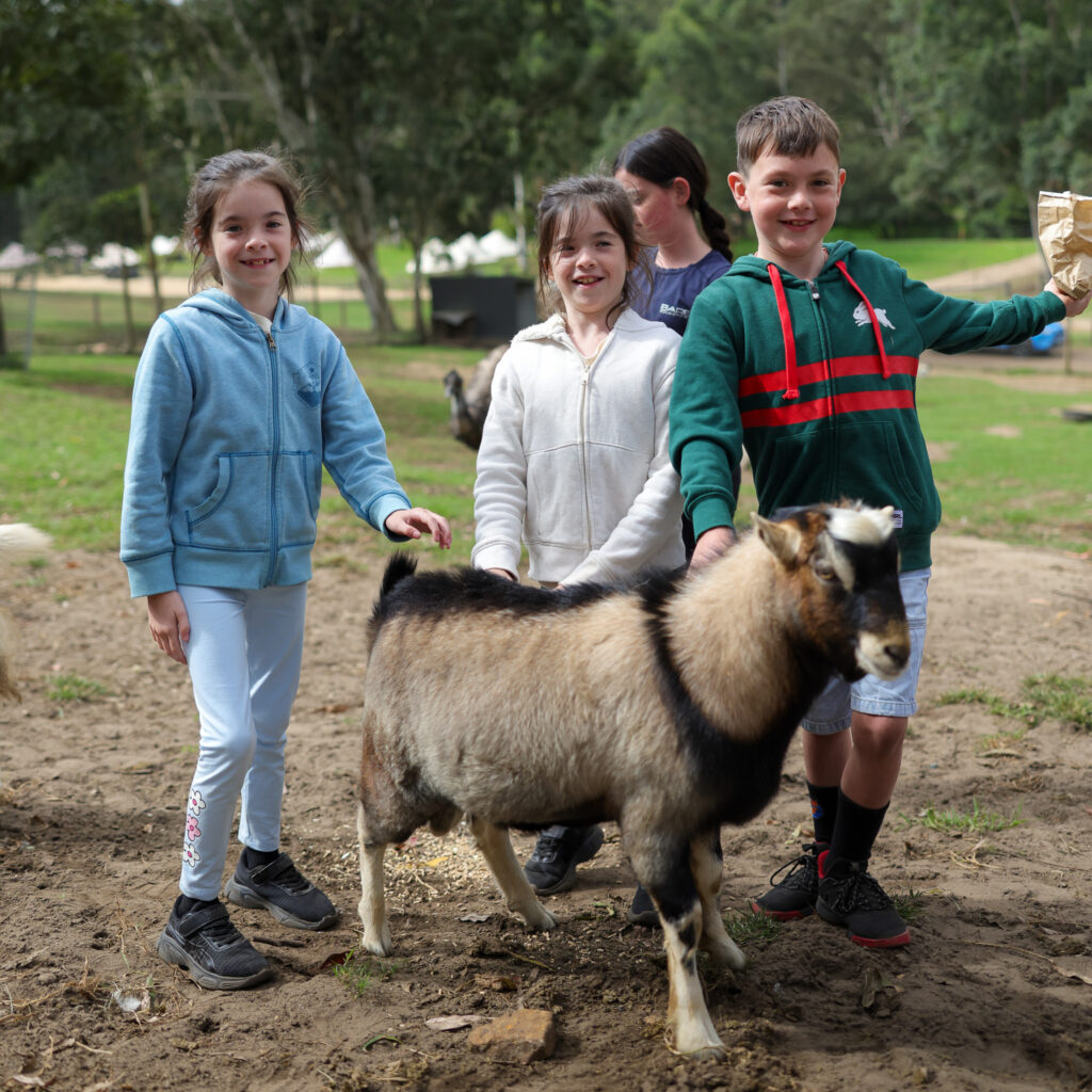 Glenworth Valley petting farm. Glenworth Valley Wilderness Adventures animal farm experience. Highland cow Glenworth Valley