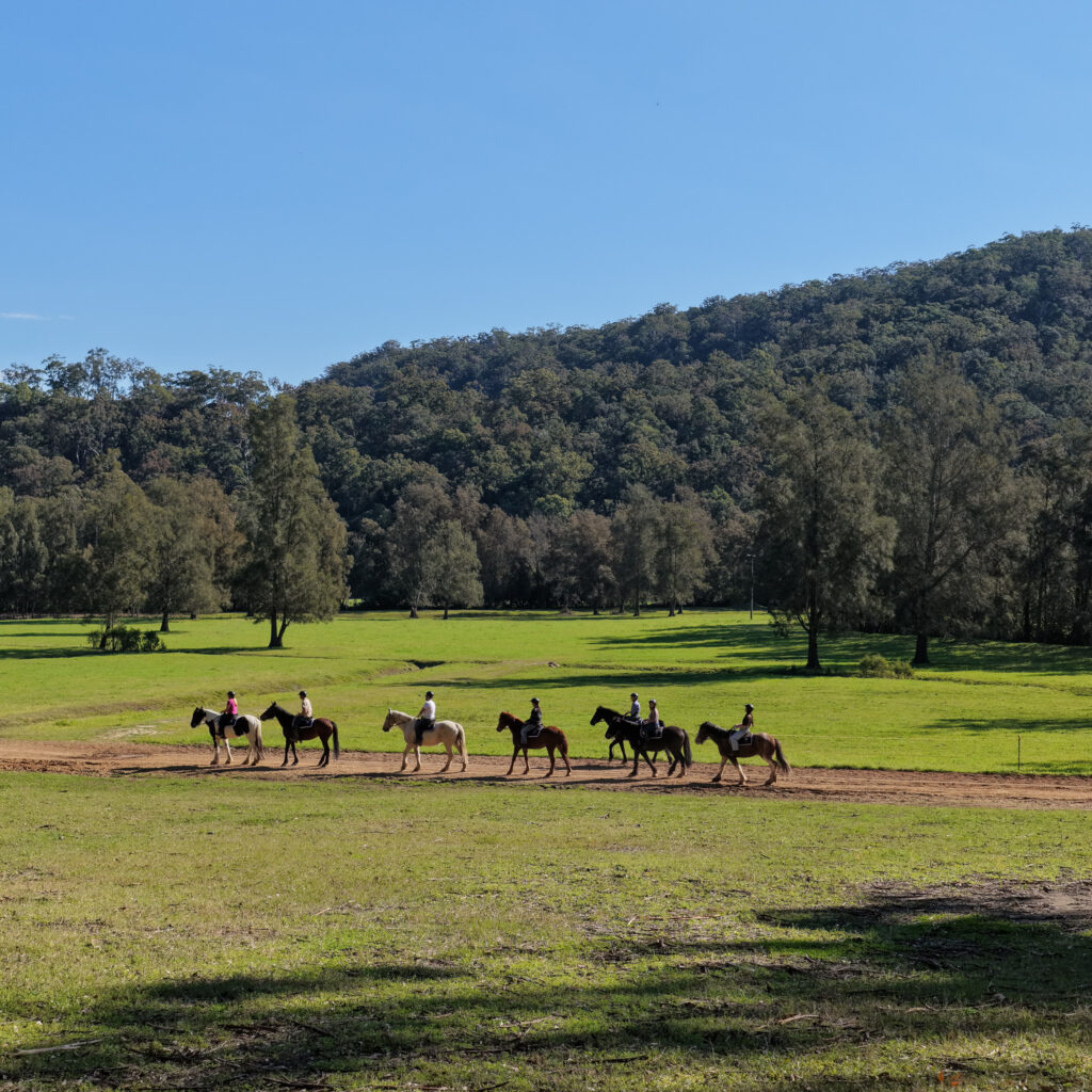 Glenworth Valley Horse Riding. Horse riding near sydney & central coast. Glenworth Valley Wilderness Adventures