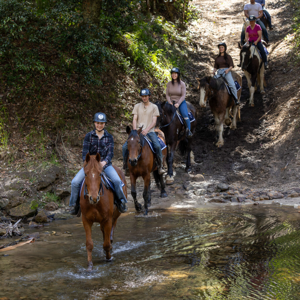 Glenworth Valley Horse Riding. Horse riding near sydney & central coast. Glenworth Valley Wilderness Adventures