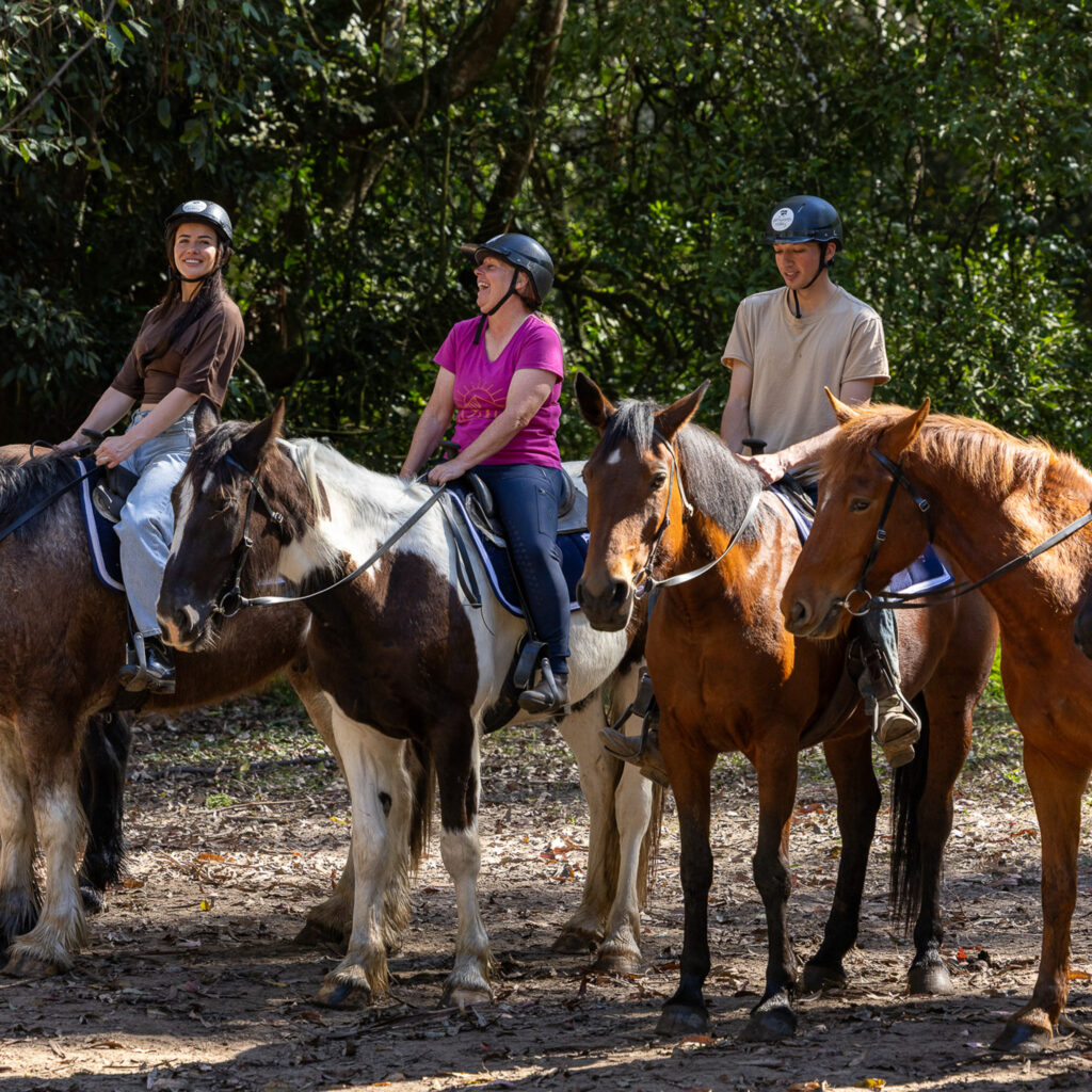 Glenworth Valley Horse Riding. Horse riding near sydney & central coast. Glenworth Valley Wilderness Adventures