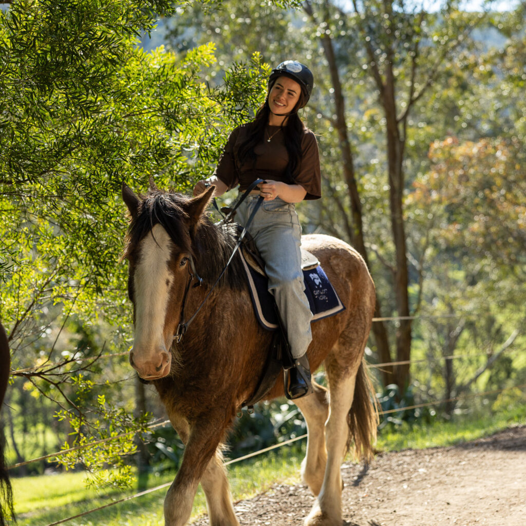 Glenworth Valley Horse Riding. Horse riding near sydney & central coast. Glenworth Valley Wilderness Adventures