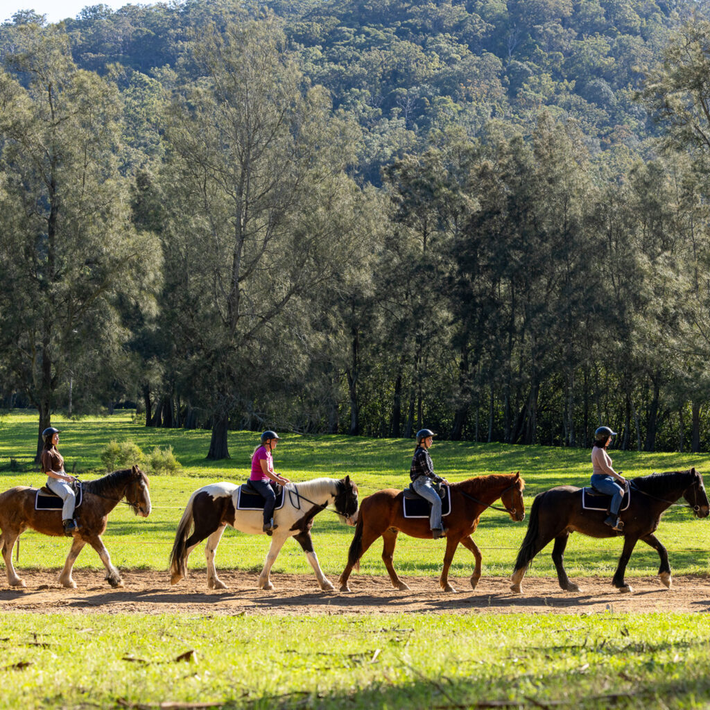 Glenworth Valley Horse Riding. Horse riding near sydney & central coast. Glenworth Valley Wilderness Adventures