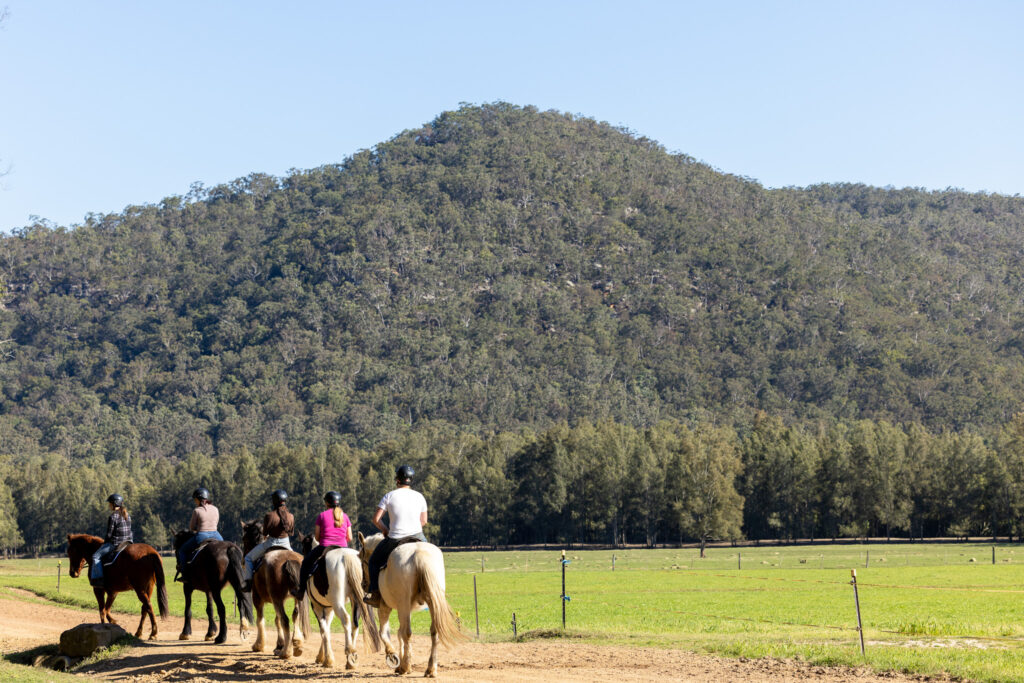 Glenworth Valley Horse Riding. Horse riding near sydney & central coast. Glenworth Valley Wilderness Adventures