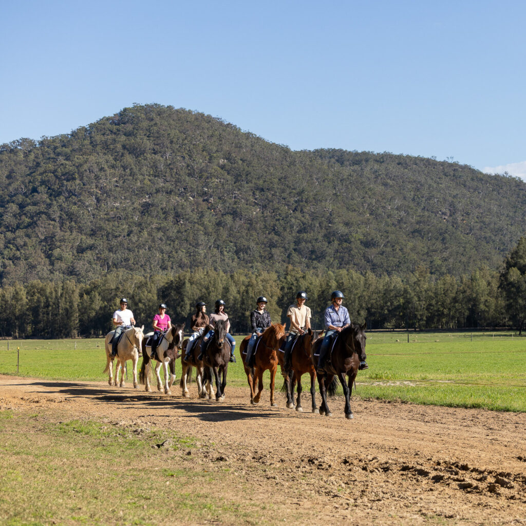 Glenworth Valley Horse Riding. Horse riding near sydney & central coast. Glenworth Valley Wilderness Adventures