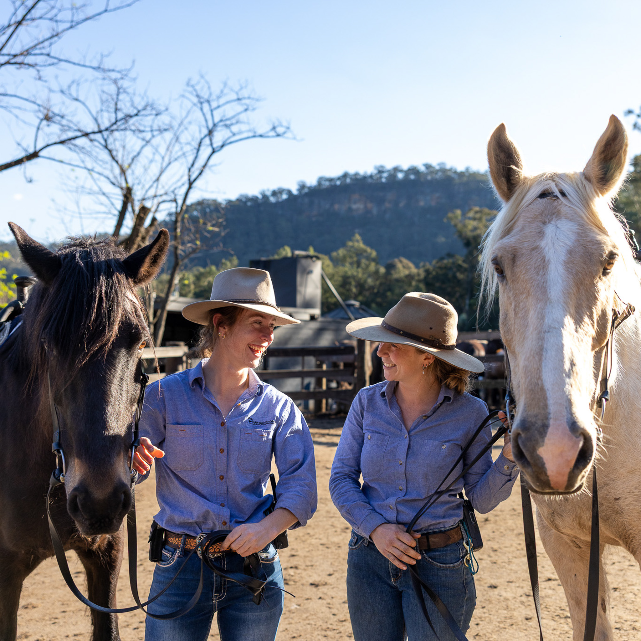 Glenworth Valley Horse Riding. Horse riding near sydney & central coast. Glenworth Valley Wilderness Adventures