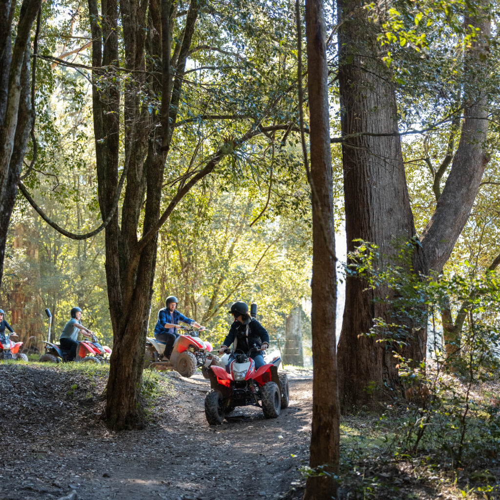 quad biking glenworth valley