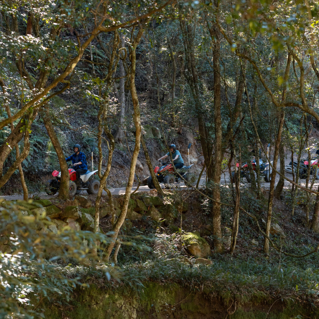 Quad Biking near Sydney. Quad Biking Glenworth Valley Wilderness Adventures